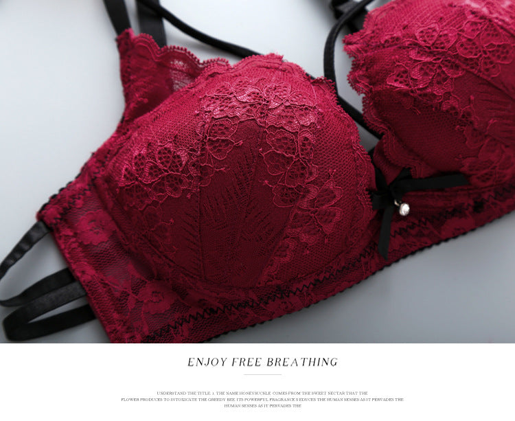 Shezaib Push Up Padded Lace Bra And Panty Set Back Closure Seamless Lingerie Set 9901