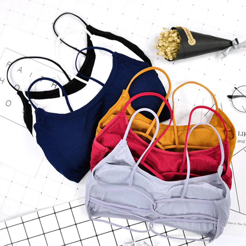 Pack of 3 Women Cotton Padded Backless Biddies 077.