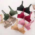 Shezaib Pack Of 3 Premium Double Padded Smooth Fit Wired Padded Bra with Soft Support & Elegant Finish 730