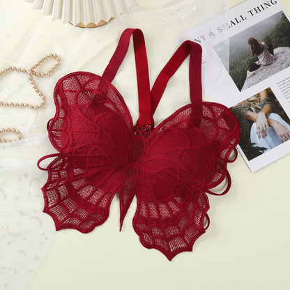 Shezaib High Quality Backless Butterfly Lace Design Cross Back 556
