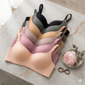 Shezaib Pack Of 2 Premium Light Padded Smooth Fit Non-Wired Seamless Bra 2218