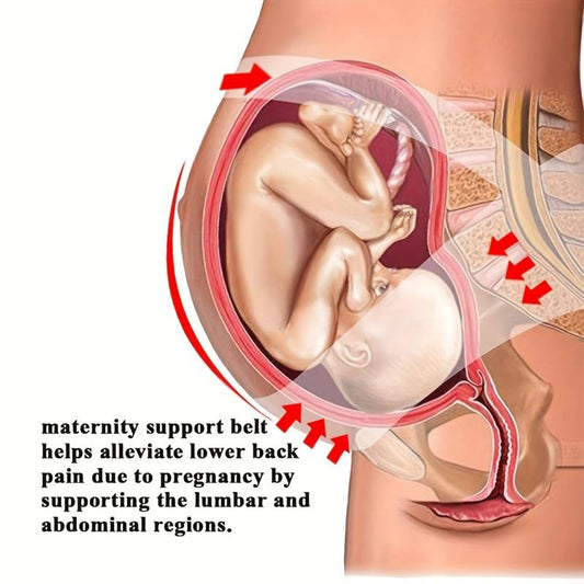 3 in 1 Pregnancy Back Support  Belt Support Child Weight and Relieve Back Preasure 3830-10
