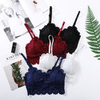 Shezaib 1  Pc Lace V Neck Crochet Bralette Crop Tops Bra-343
