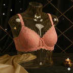 Shezaib Pack of 2 Premium Lace Comfort Push-Up Bra – 733