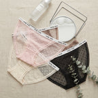 Pack of 3 Women’s Dotted Mesh Lace Brief -6970