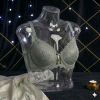 Shezaib Pack of 2 Premium Lace Comfort Push-Up Bra – 733