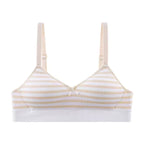 Pack of 2 Light Padded Soft T-Shirt Bras – Seamless Striped Everyday Comfort Set 807