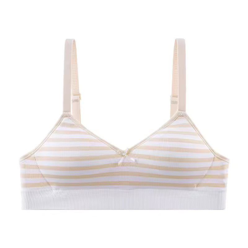 Pack of 2 Light Padded Soft T-Shirt Bras – Seamless Striped Everyday Comfort Set 807