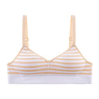 Pack of 2 Light Padded Soft T-Shirt Bras – Seamless Striped Everyday Comfort Set 807