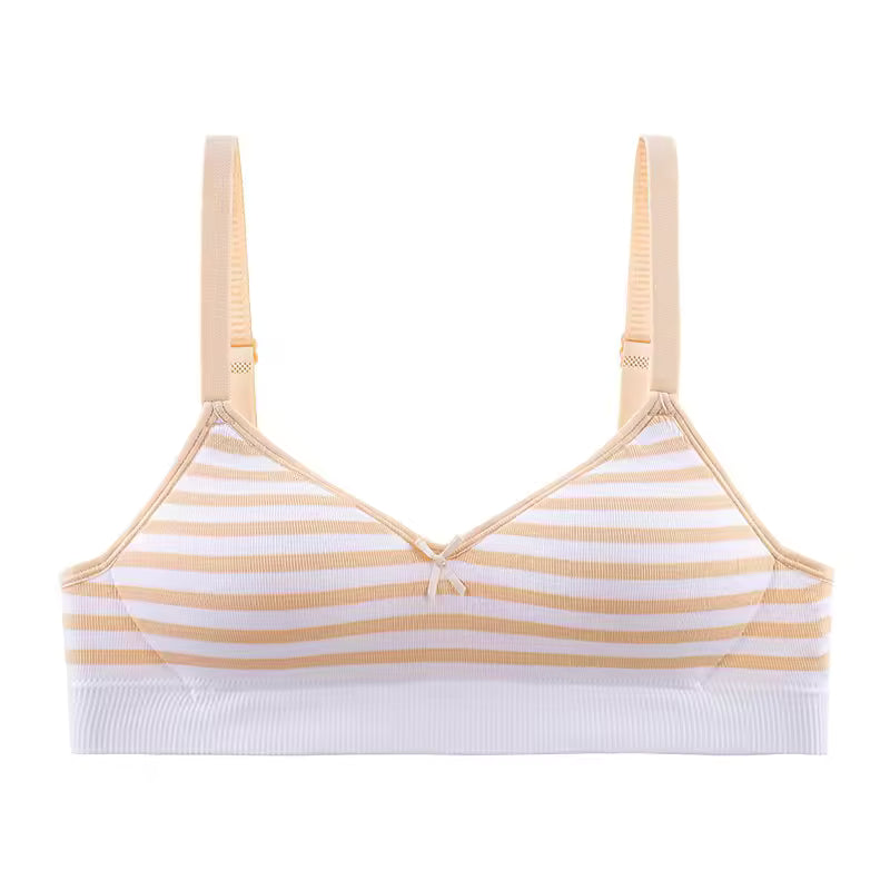 Pack of 2 Light Padded Soft T-Shirt Bras – Seamless Striped Everyday Comfort Set 807