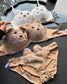 New High Quality Sexy Cute Kitty Anime Soft Plush Design Bra & Panty Set E03