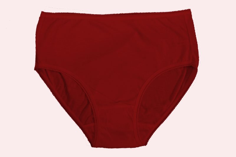Flourish Combo Of 3 Plain 100% Cotton Panties For Women 517