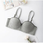 Shezaib Pack of  2 Everyday Cotton Padded Wired Bra-6506