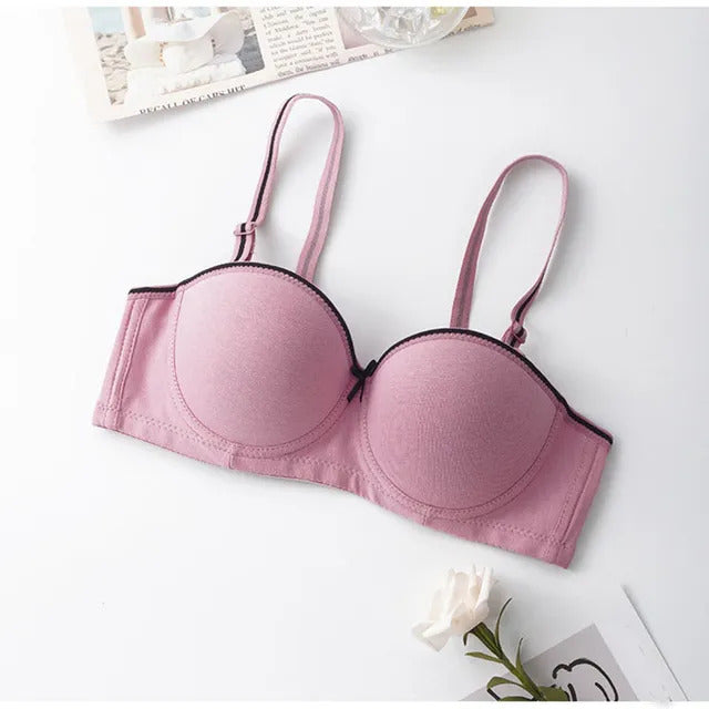 Shezaib Pack of  2 Everyday Cotton Padded Wired Bra-6506