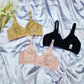 Shezaib Pack Of 3 Soft Classic Cotton High Quality Non Padded Bras