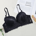 Pack Of 2 Double Padded Wired Lace Bra – Bridal & Everyday Stylish Support 8216