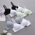 Women’s Padded Bra – Multi Color Comfortable Everyday Bras -1024