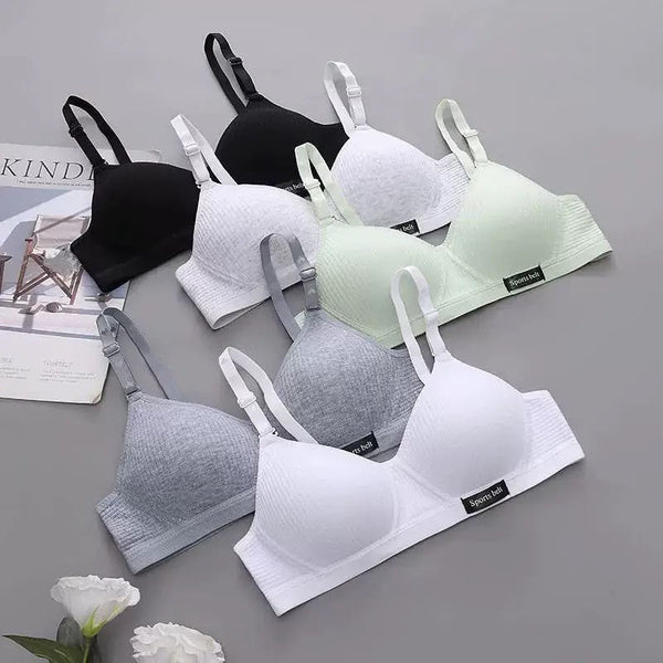 Women’s Padded Bra – Multi Color Comfortable Everyday Bras -1024