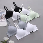 Women’s Padded Bra – Multi Color Comfortable Everyday Bras -1024