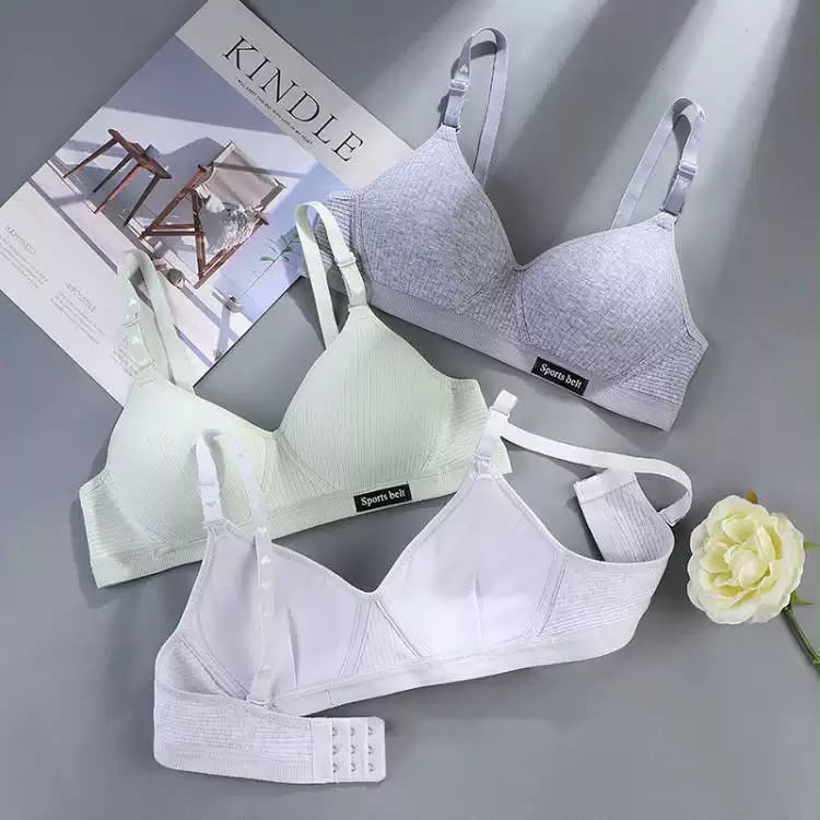 Women’s Padded Bra – Multi Color Comfortable Everyday Bras -1024