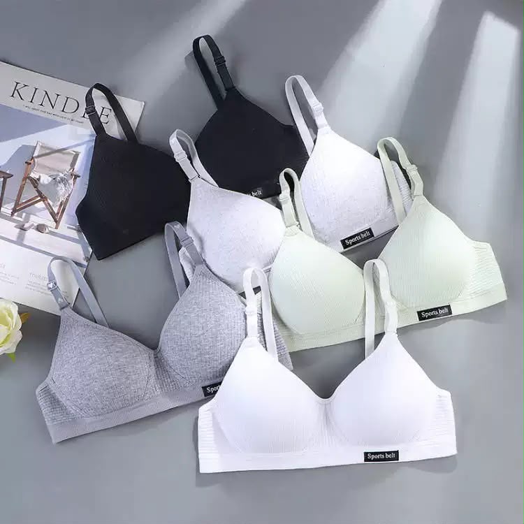 Women’s Padded Bra – Multi Color Comfortable Everyday Bras -1024