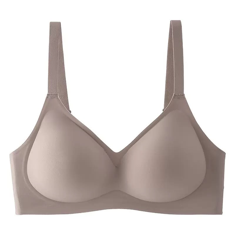 Premium Seamless Wireless Padded Bra Combo -Palm Treasure
