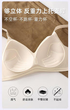 Premium Seamless Wireless Padded Bra Combo -Palm Treasure