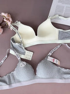 Shezaib Undergarments Pack of 3  Premium Seamless Everyday Comfort Bra with Perfect Fit & Soft Support (2535)