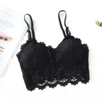 Shezaib 1  Pc Lace V Neck Crochet Bralette Crop Tops Bra-343
