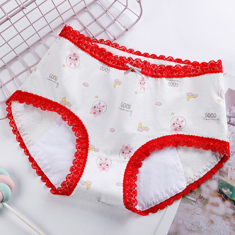 Shezaib Pack Of 3 Pure Cotton Printed High Quality Menstrual Periods Panties